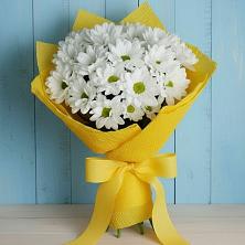 Букет цветов из:  Хризантемы в Ульяновке