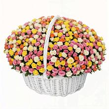 Премиум букет из: Розы в Ульяновке