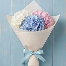 Букет цветов из:  Гортензия в Ульяновке