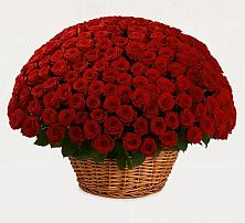 Премиум букет из: Розы #REPLACE_PRED# Ульяновке