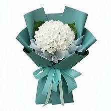 Букет цветов из:  Гортензия в Ульяновке